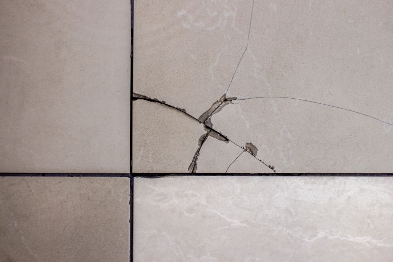Commercial Tile Repair